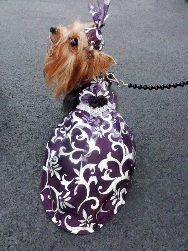 Anthony Rubio Purple Dress