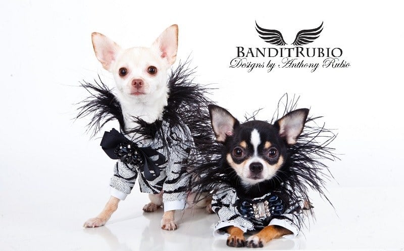 Bandit Fashion