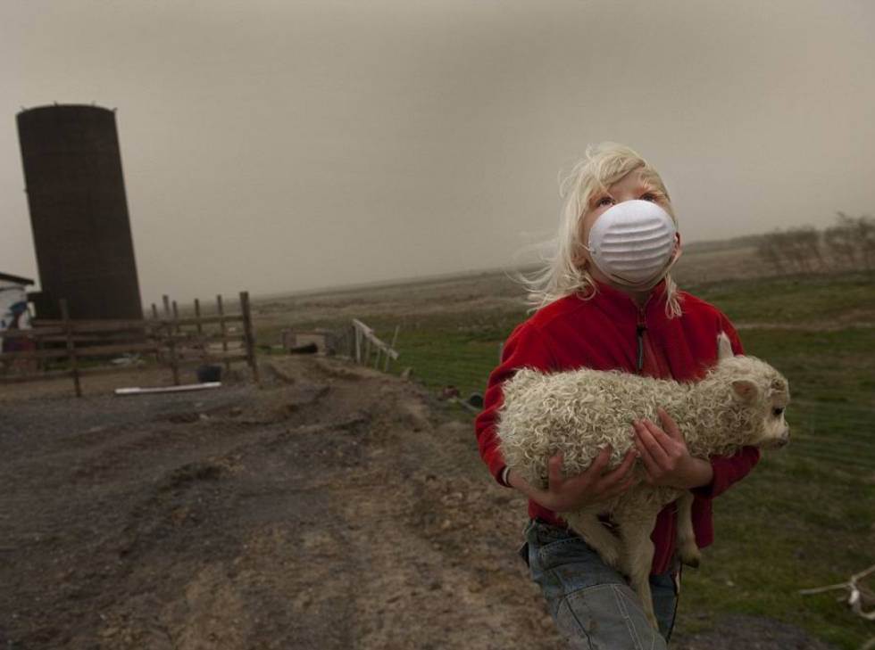 Rescuing A Baby Lamb