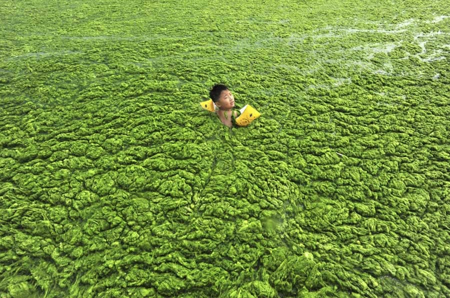 Chinese Pollution Water