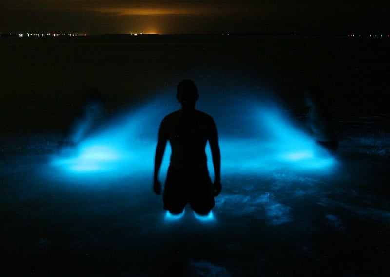 Bioluminescence People