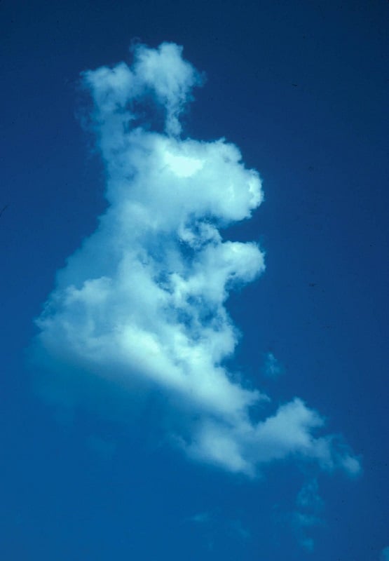 Cloud Formations Bunny