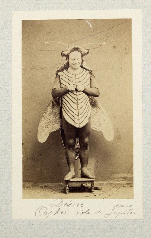 Butterfly Weird Halloween Costume