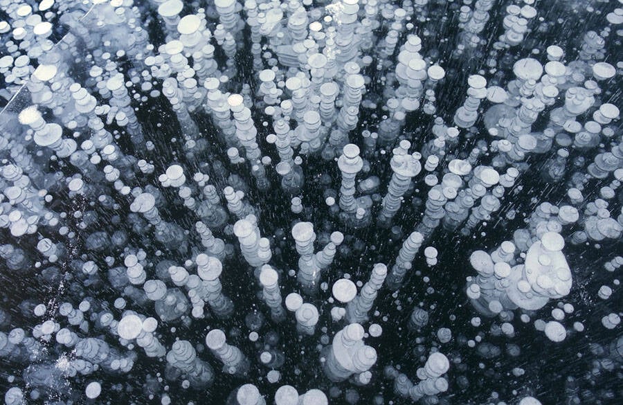 Frozen Bubbles