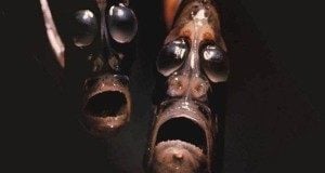 Interesting Articles