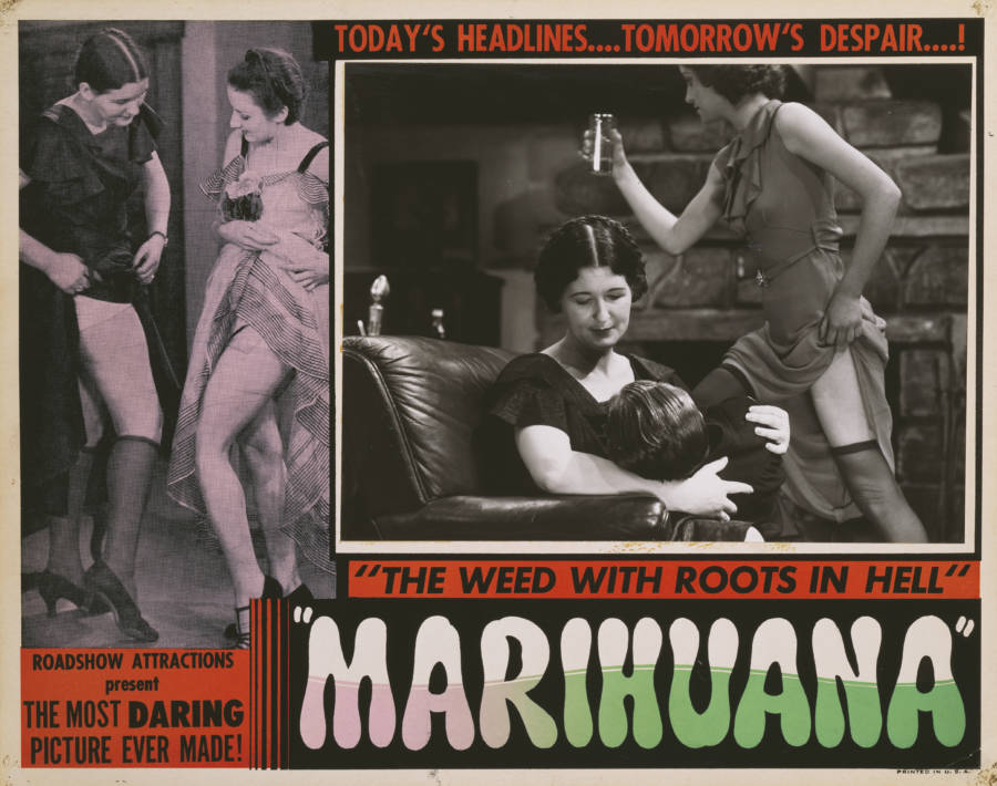 Marijuana Crime Film
