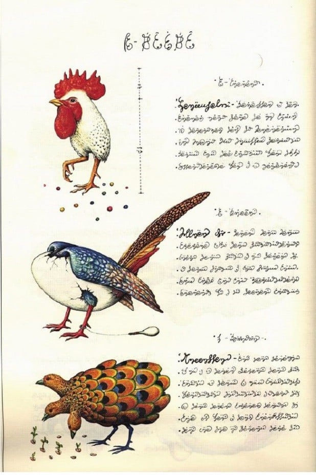 Codex Seraphinianus Pictures