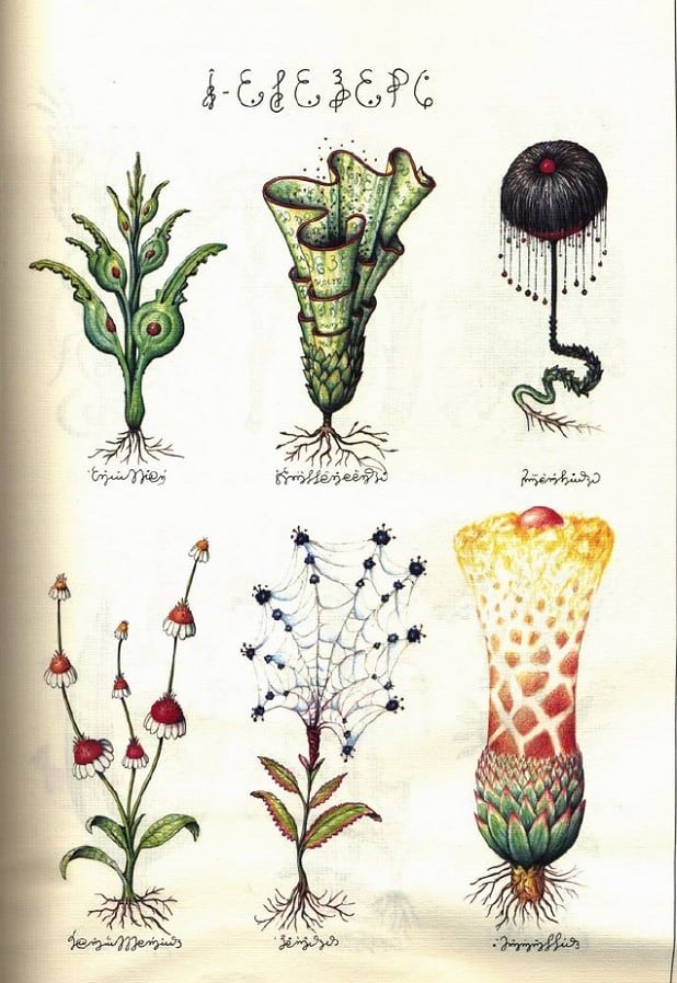 File:Codex Seraphinianus - tools.jpg - Wikimedia Commons