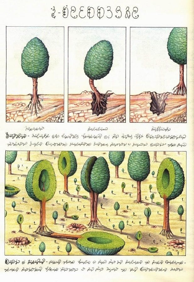 Codex Seraphinianus, a journey through an imaginary world