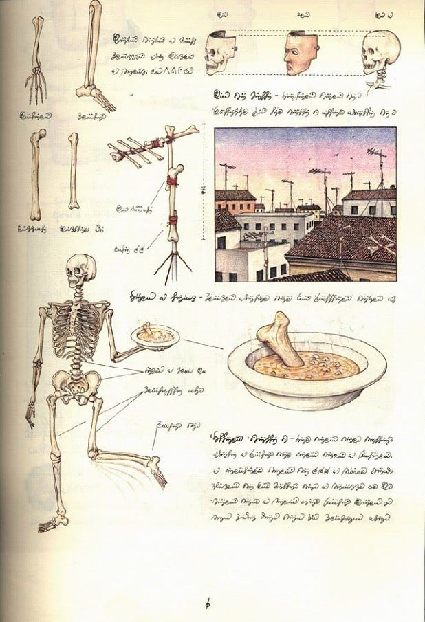 Skeleton Figures