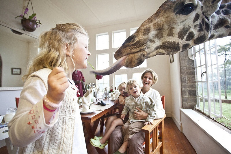 Eating Giraffes Kid