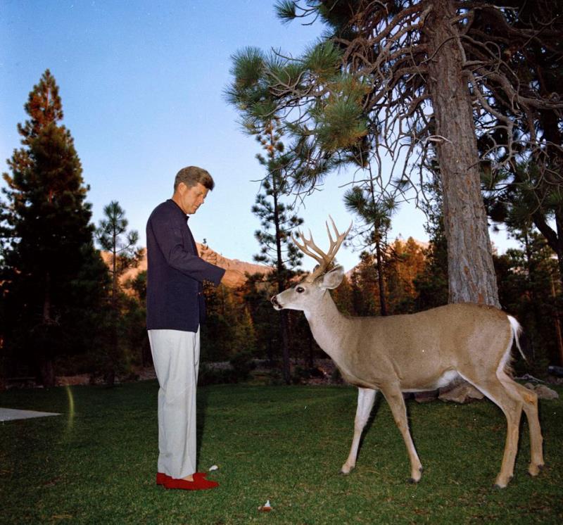 John Kennedy Photos Feeding A Deer