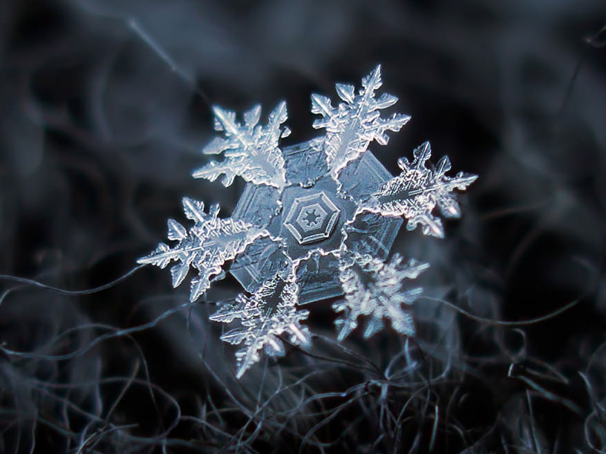 Macro Snowflakes Hexagon