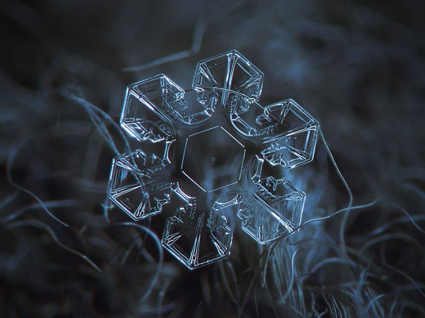 Macro Snowflakes Translucent