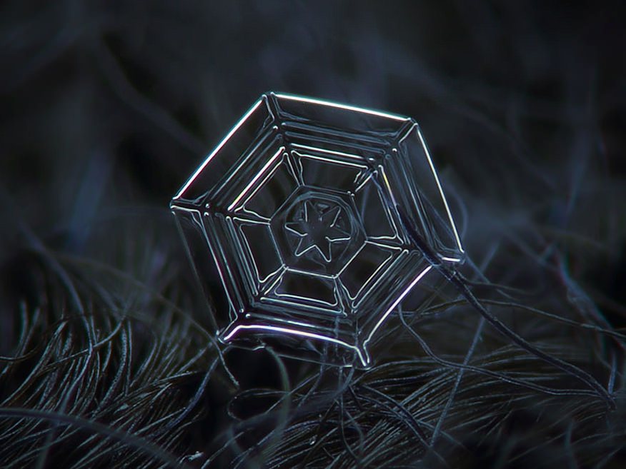 Macro Snowflakes Web