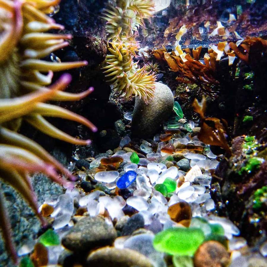 Glass Beach Underwater
