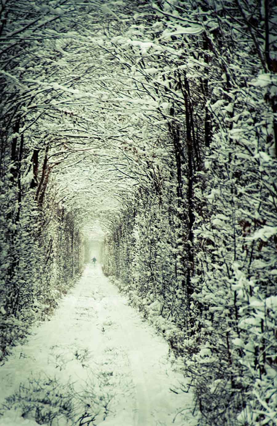 Tunnel Of Love Winter