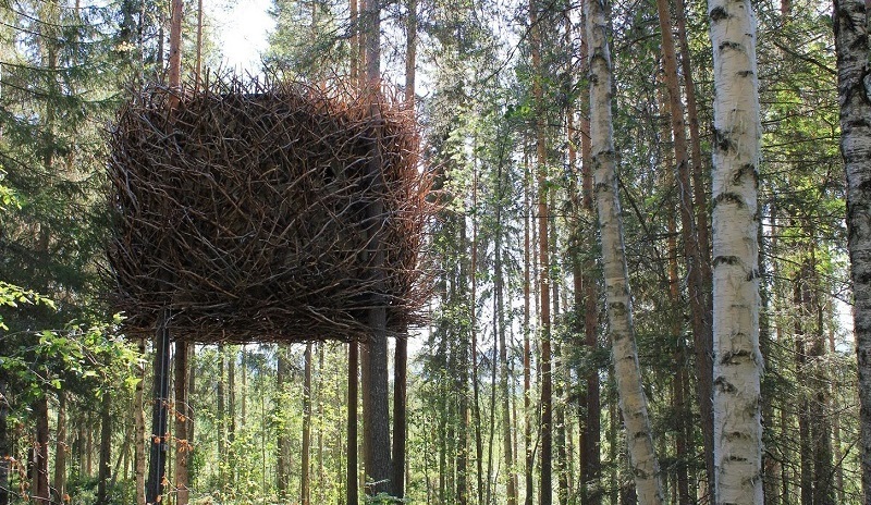 Coolest Hotel Treehotel and Bird's Nest Room