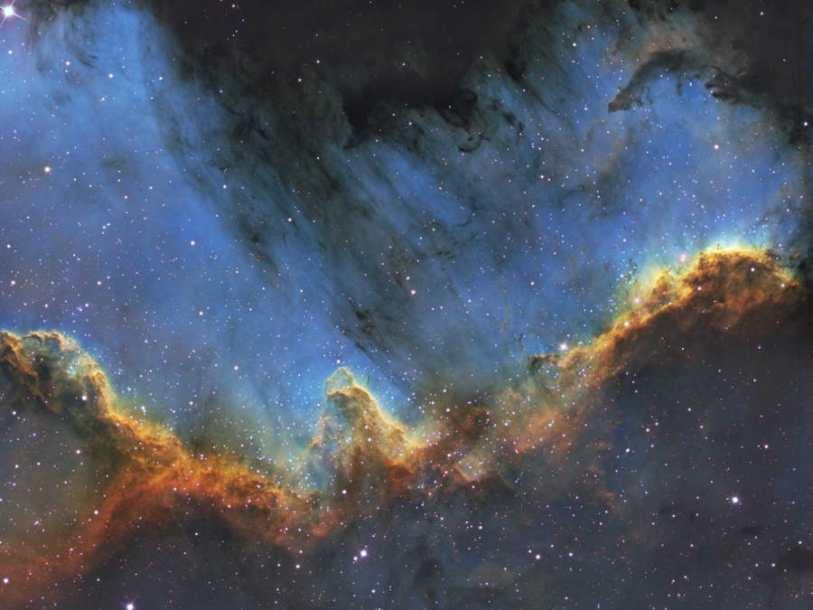 Cygnus Wall