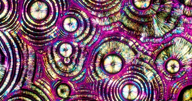 Vodka Under A Microscope