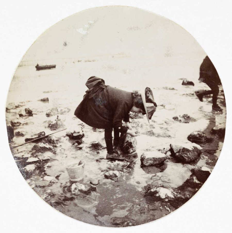 First Kodak Moments Picking Rocks