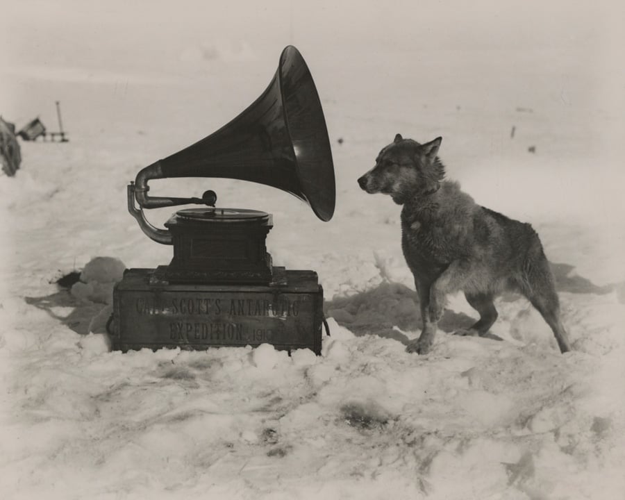 National Geographic Photos Gramophone Dog 1911