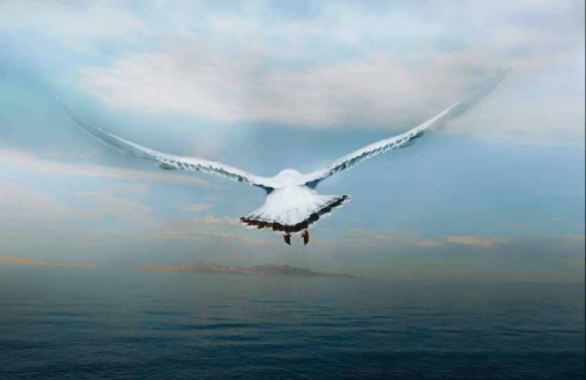 Birds Eye View Water