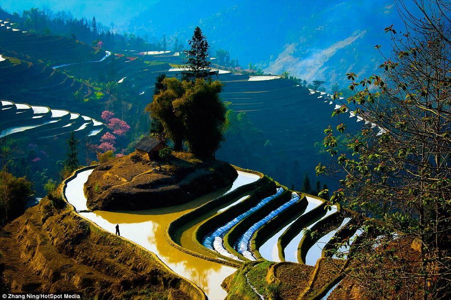 China Landscape Home Terrace