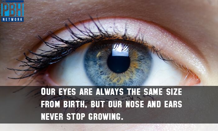 Eye Size