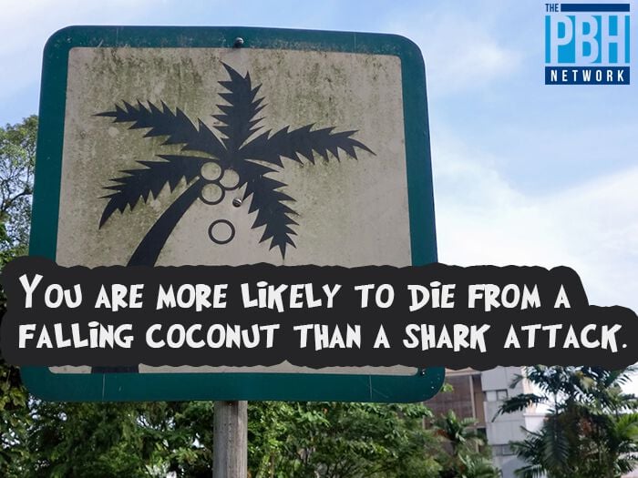 Falling Coconuts Versus Shark Attacks