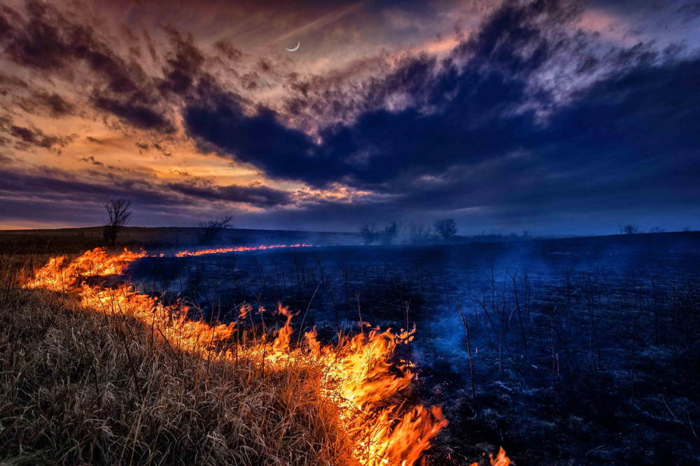 Nature Conservancy Contest Fire