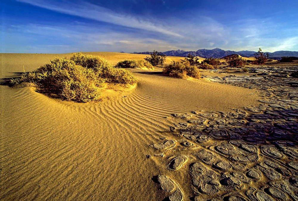 Nature Conservancy Contest Sand