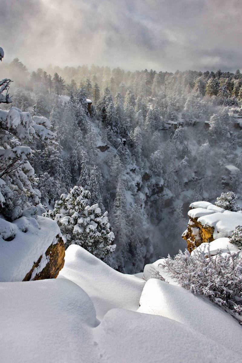 Nature Conservancy Contest Winter