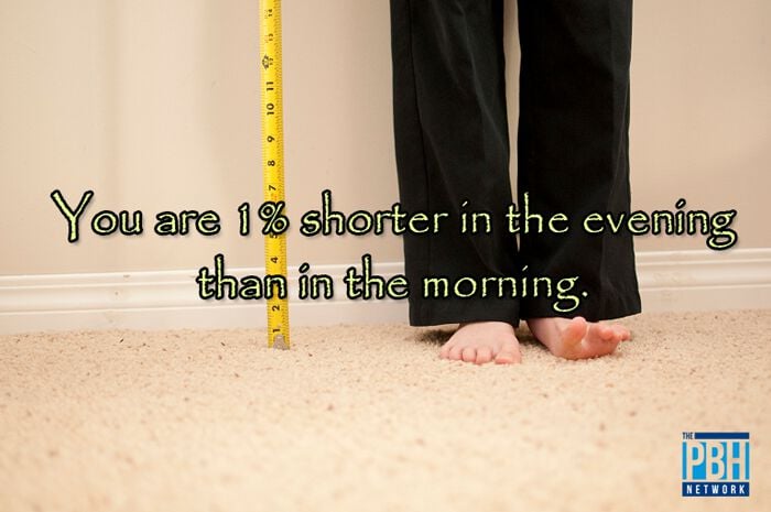 Shorter In The Morning