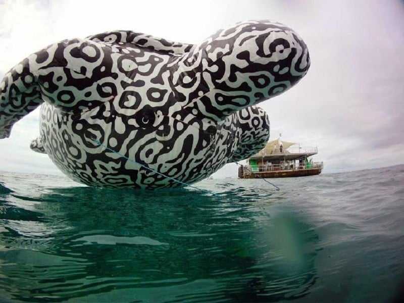 Turtle Marking Underwater Art Gallery