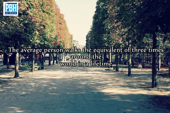 Walk The Earth