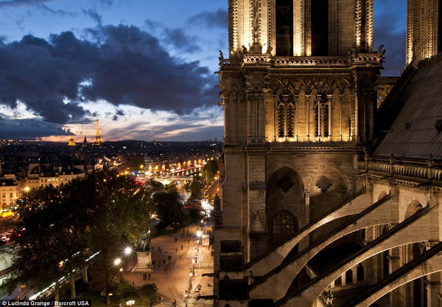 Lucinda Grange Notre Dame
