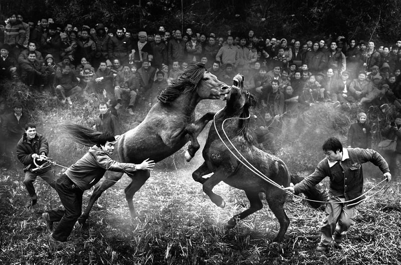Professional Image from Sony World Photography Awards