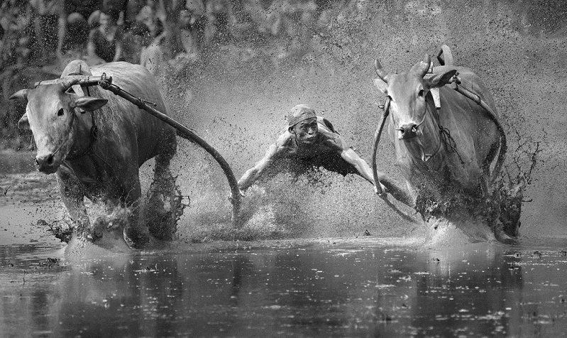Shortlist for Sony World Photography Awards