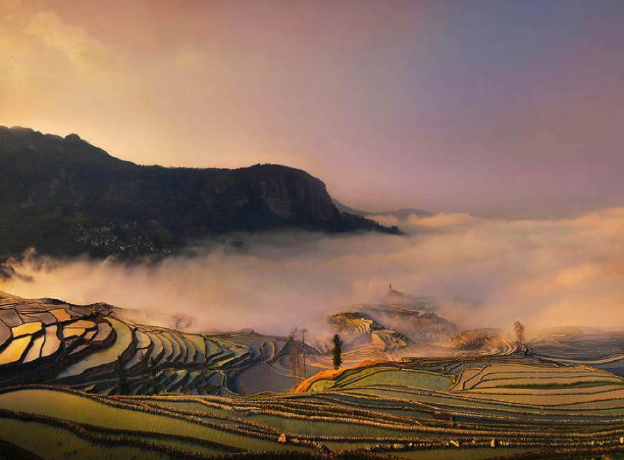 Travel Photography Rice Field
