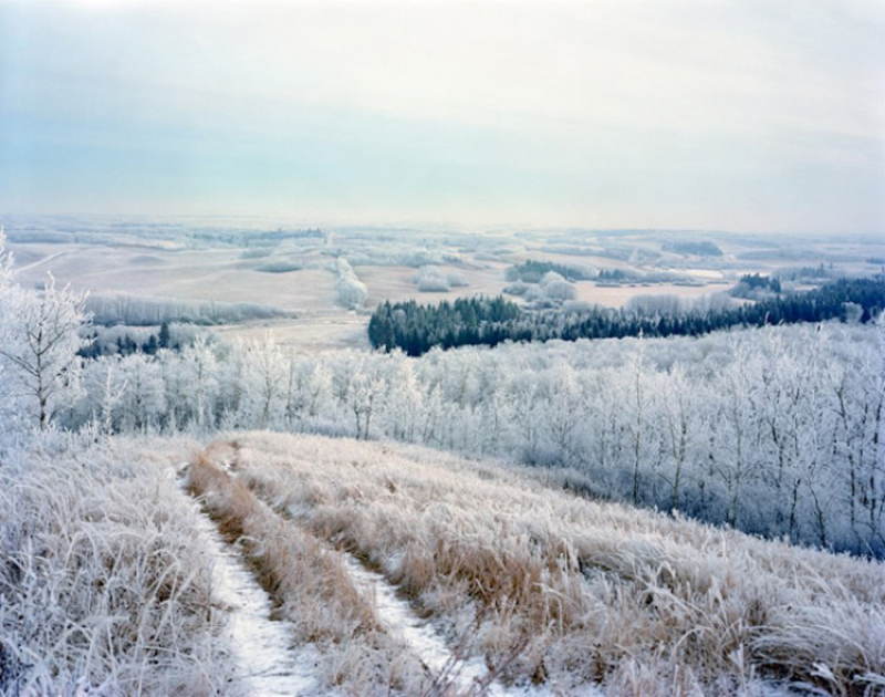 Nature Photographers Frosty Plain