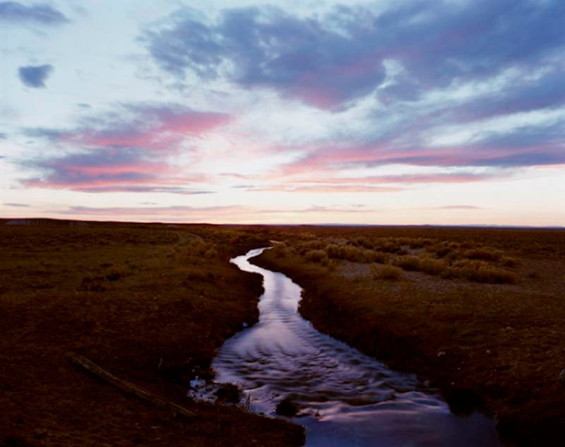 Lavender Stream