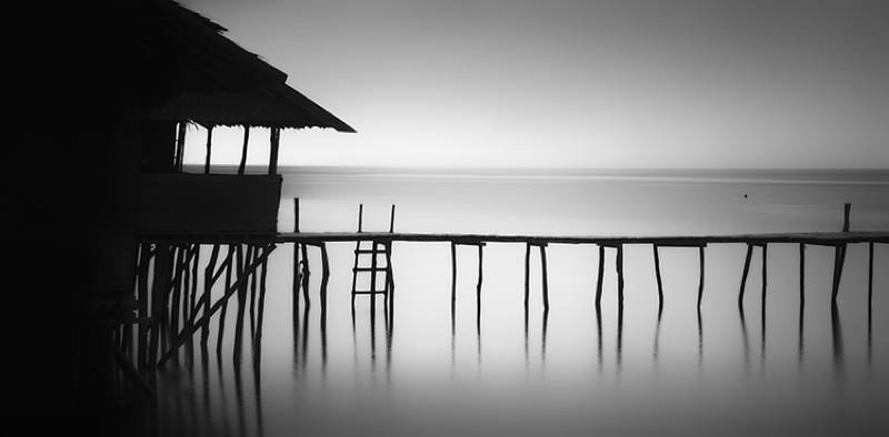 Nature Photographers Tiki Dock