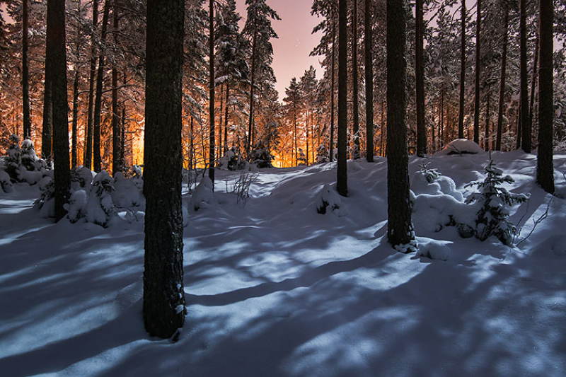 Nature Photographers Orange Horizon