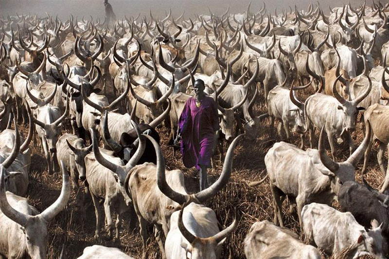 Dinka Tribe Sudan Purple
