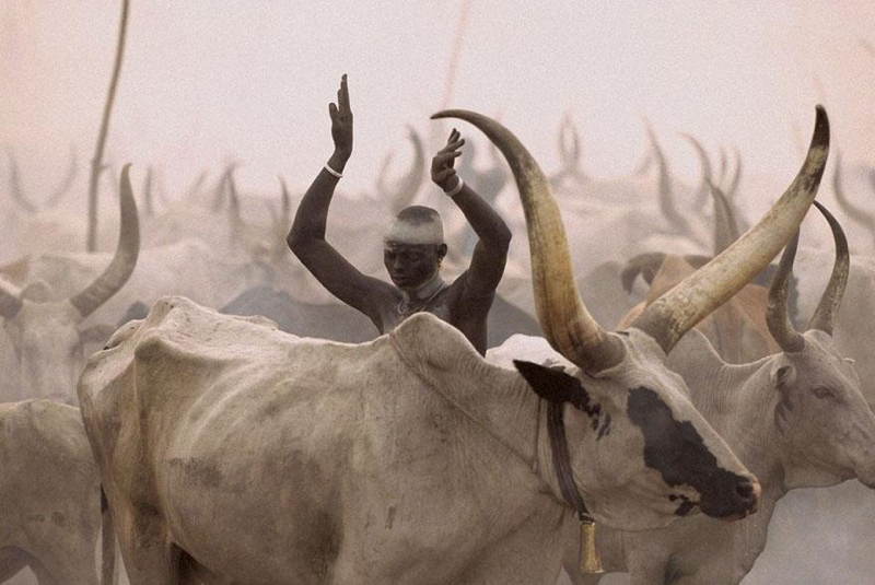 Dinka Tribe Sudan Arms