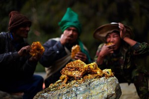 Gurung Honey Hunters Feast