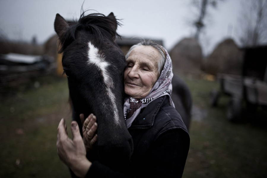 Sony World Photography Contest Woman Horse