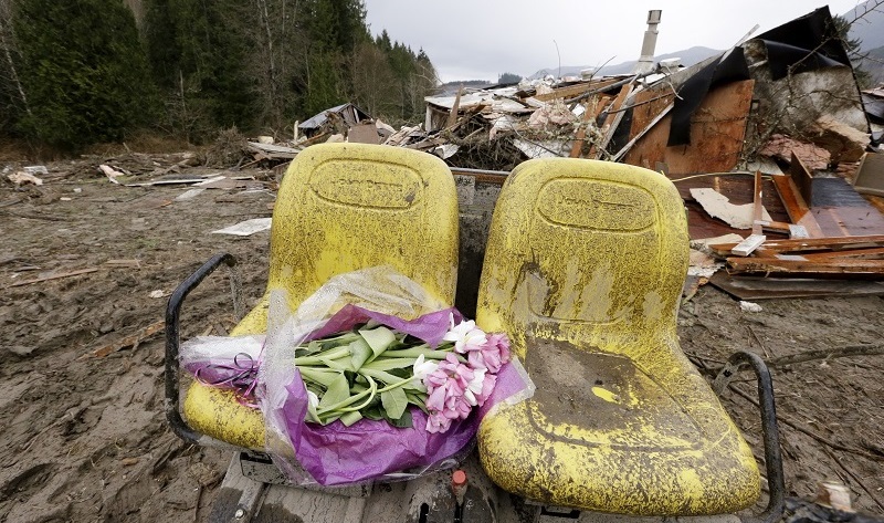 Roses in the Wreckage