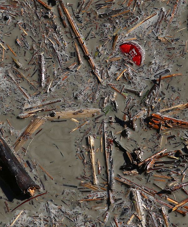 Junk Floats In Mud